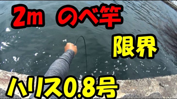 【衝撃映像】延べ竿2mでチヌ黒鯛を簡単に釣る方法 ヘチ釣り 落とし込み 前打ち