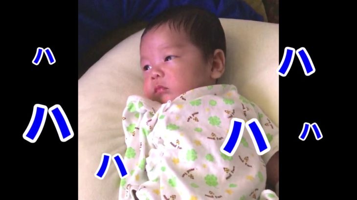【生後2ヶ月の赤ちゃん】お笑い動画を一緒に見てみた【授乳クッションで背もたれ】
