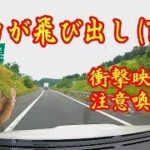 シカによりスバルWRX　S4が(T_T)【北海道衝撃映像】注意喚起！247