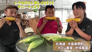 甘いトウモロコシ『サニーショコラ』食レポ2019。まさにこれがスイートコーンだ。：北海道 富良野 メロン農家の寺坂農園