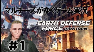 【EARTH DEFENSE FORCE: IRON RAIN】少し文句多めのゲーム実況#1