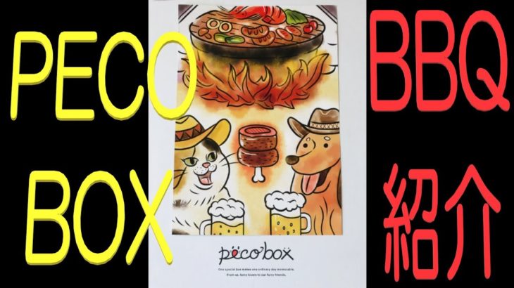 【PECOBOX BBQ号】をチワワと紹介してみた。【おもちゃ】【ペット】