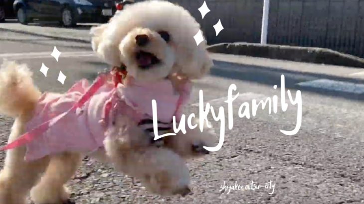 ラッキーファミリーのペットホテルはこんな感じ！