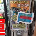 1000円ガチャで一瞬でお金増やしてみるｗｗ