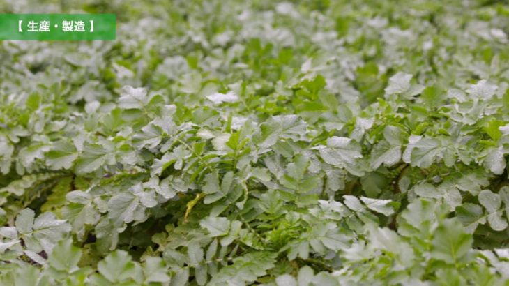 荒井商事株式会社様_食品流通事業部紹介