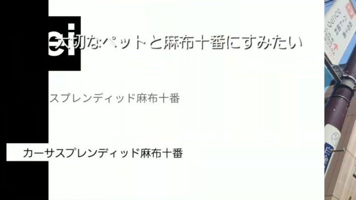 🆕大切なペットと麻布十番に暮らしたい　[カーサスプレンディッド麻布十番]