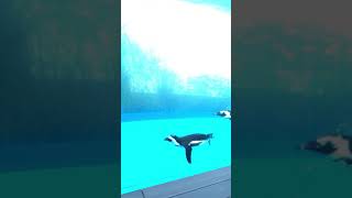 ヒカキン　ヒカキン大好き　フィッシャーズ　フィッシャーズ大好き　くうちゃん　パピヨン　子犬　犬　ワンちゃん　チャンネル登録お願いいたします。