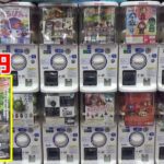 500円のリアルスズメバチのガチャをコンプリートするまで帰れませんｗｗ