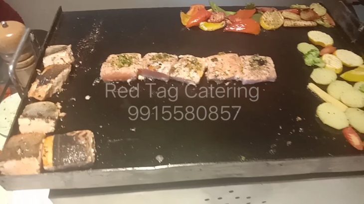 Harmony wedding planner and catering best wedding planner in Mohali Punjab contact 9915580857