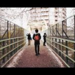 【Music Video】藍桜 / 左右田真司