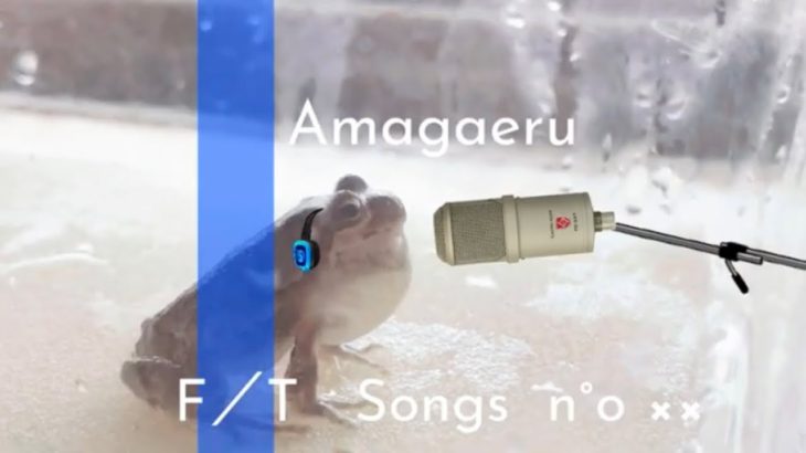 アマガエル‐初鳴き／THE FIRST TAKE