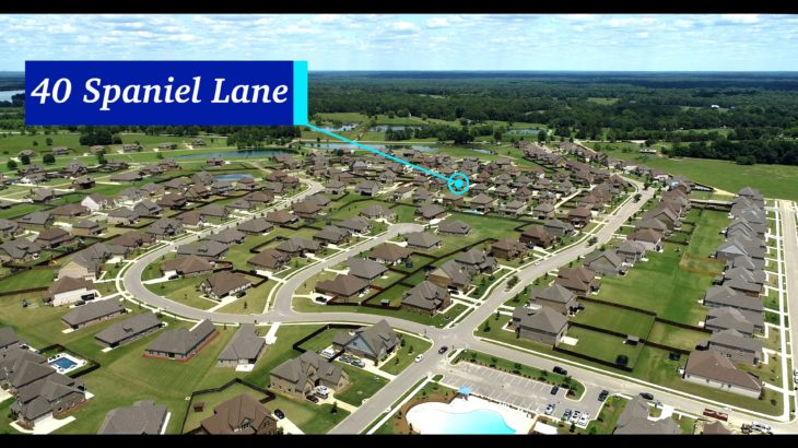 40 Spaniel Ln Pike Road Alabama (U)