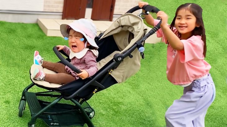 みのちゃんは素敵なお姉ちゃんになりたい！赤ちゃんのお世話がんばるぞ✨Mino wants to be a good Sister