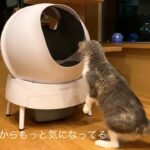 猫用自動トイレ AIMICAT🐈