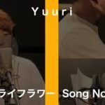 優里 – ドライフラワー / THE FIRST TAKE / ファーストテイク