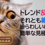 トレンド反転？それとも継続？紛らわしい相場の簡単な見極め方。/週ナビ#358