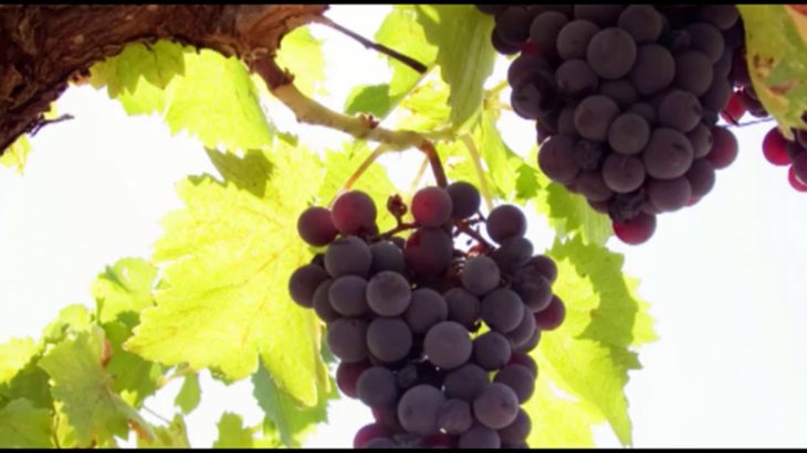 Bible Study With Jairus-Acts 15.mp4