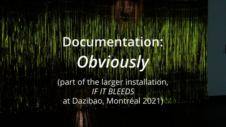 Obviously (installation documentation, Dazibao 2021)