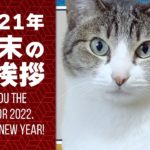 2021年年末のご挨拶と猫