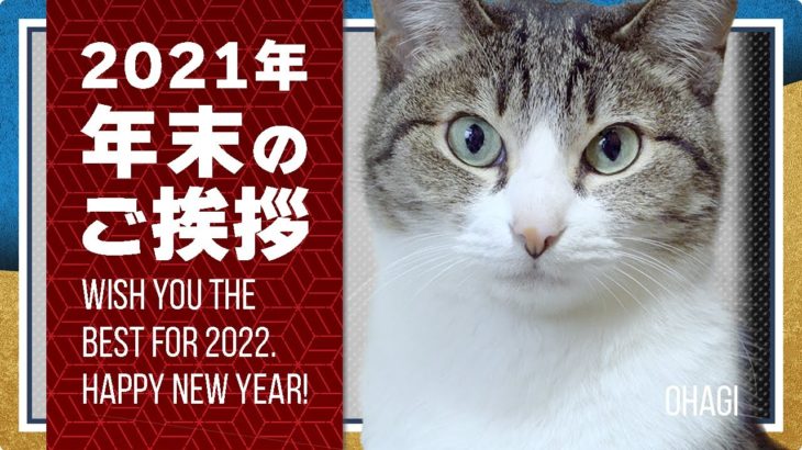 2021年年末のご挨拶と猫