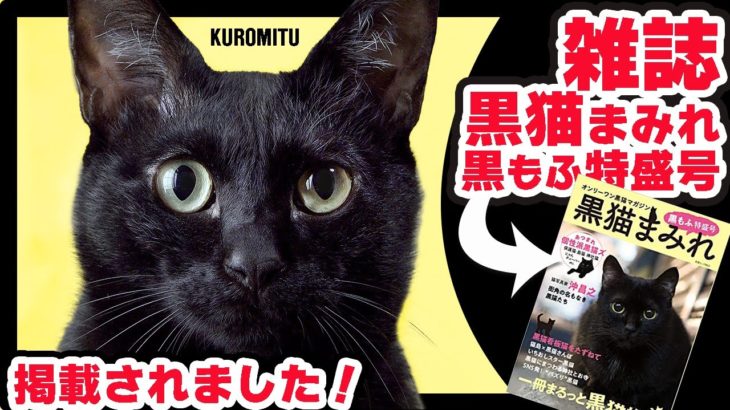 雑誌「黒猫まみれ黒もふ特盛号」に掲載されました！