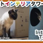 猫のキャットインテリアタワー