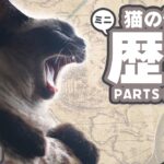 猫の性格と歴史と