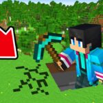 レベルが上がるごとに大きくなる世界でマインクラフト【 マイクラ / マインクラフト 】