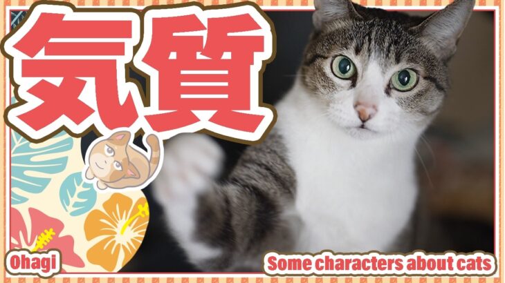 猫の気質は変わりやすい。