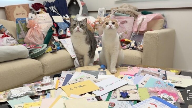 ファンから届いた誕生日プレゼントで家が大変なことになっちゃいました…