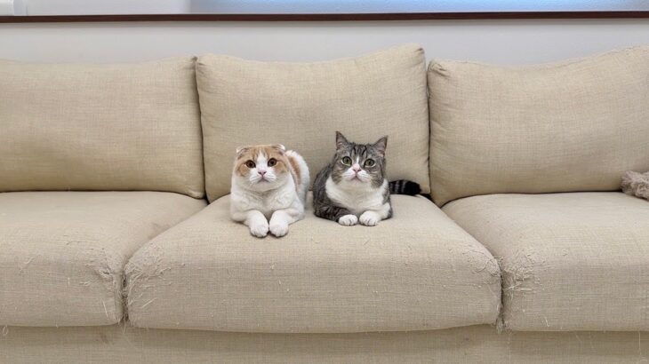 5年間お世話になったもちとはなへ。