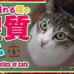 猫の個性溢れる性質を