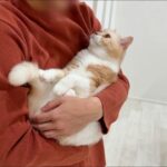 出張から帰ってきた飼い主と１週間ぶりに再会した猫が大喜びでこうなっちゃいました…