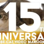 YouTube猫動画15周年ありがとう！