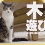 猫の木製遊び場