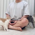 瞑想中の飼い主が石のように動かなくなったら猫たちに心配されてこうなっちゃいました…