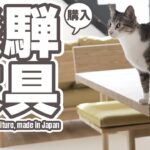 猫と飛騨家具購入