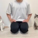 【ご報告】活動休止してた本当の理由について。