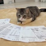 もち様の腎臓病治療の請求書が届いたので開けてみたらとんでもない金額でした…