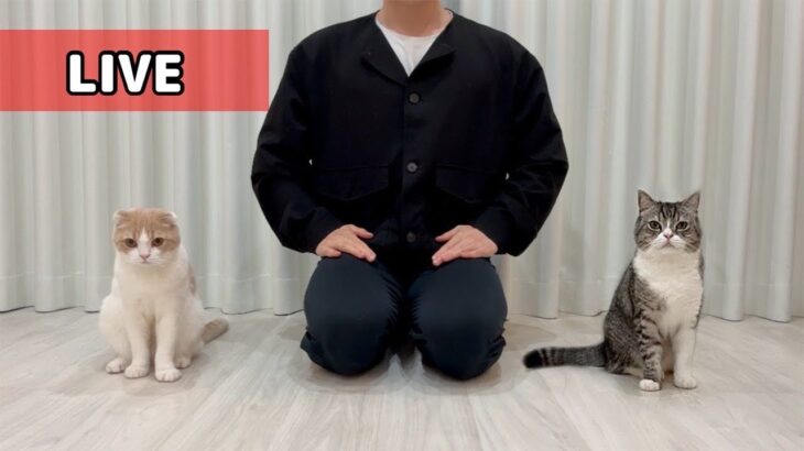 【生配信②】一連の動画について下僕からご説明させてください。