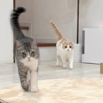 海外出張から帰ってきたら甘えんぼ兄弟が大喜びでお出迎えしてくれてこうなっちゃいました…