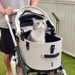 猫に高級ベビーカーをプレゼントして一緒にお散歩したら大喜びで可愛すぎました…笑