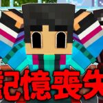 全ての記憶を失ってしまうマインクラフト…【 マイクラ / マインクラフト 】