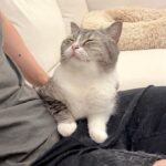 嘔吐して緊急搬送されたもち様のその後について。