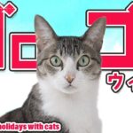 猫のゴロゴロウィーク