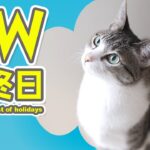 猫のGW最終日
