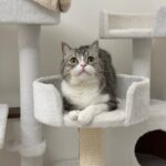 お久しぶりです。