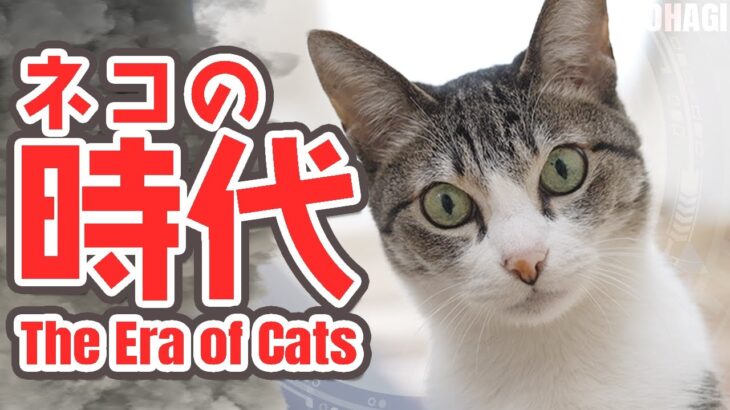 猫の時代