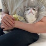 おかえり、もち。