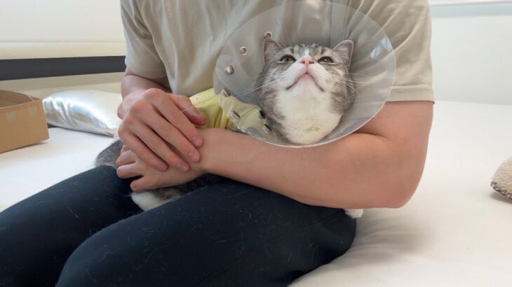 おかえり、もち。